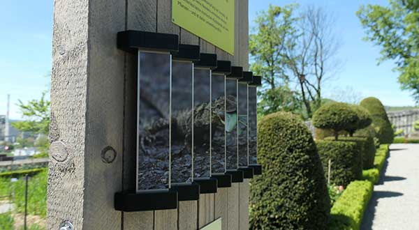 AKB Gartentour auf Schloss Wildegg
