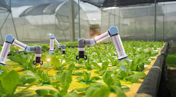 Startup mit Pflanzen