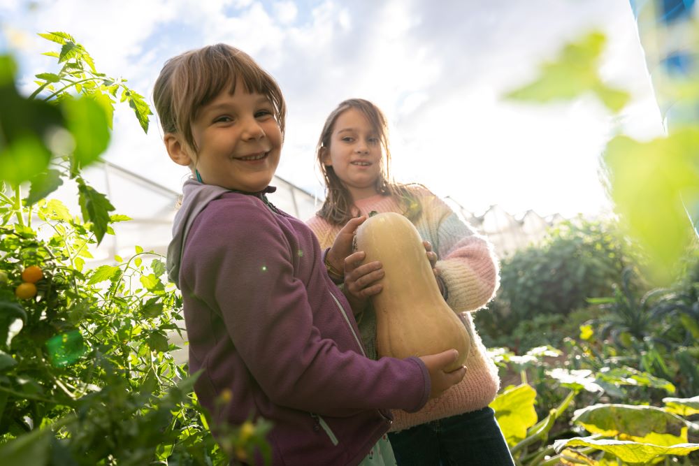 141 Projekte im Jahr 2025 unterstützt