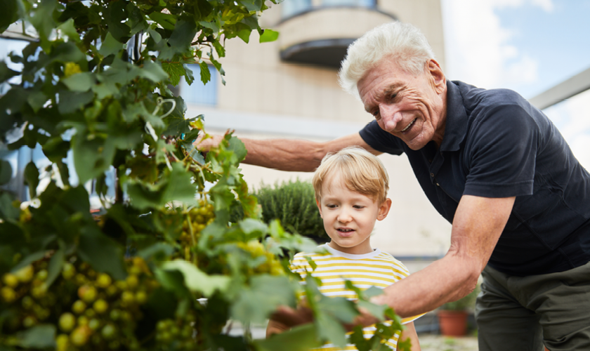 Wahrheit oder Mythos?