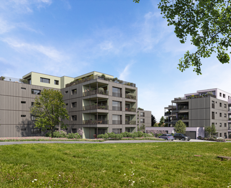 Neubauprojekt Fahrwangen «Triangel»