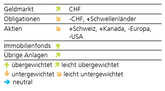 grafik aktuelle anlagestrategie